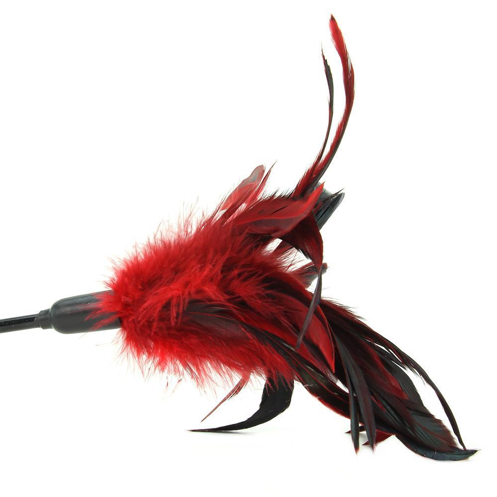 Starburst Feather Body Tickler in Red - Sex Toys Vancouver Same Day Delivery