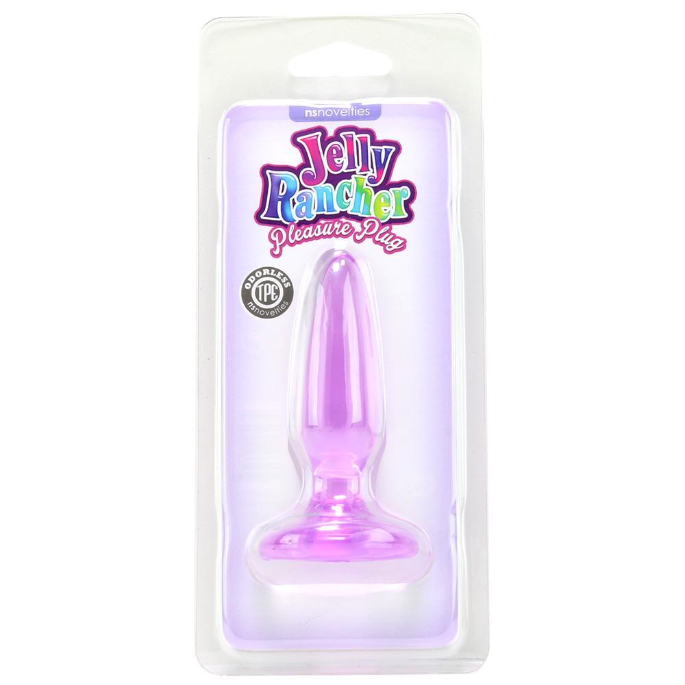 Jelly Rancher Mini Pleasure Plug in Purple - Sex Toys Vancouver Same Day Delivery
