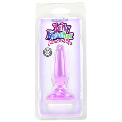 Jelly Rancher Mini Pleasure Plug in Purple - Sex Toys Vancouver Same Day Delivery