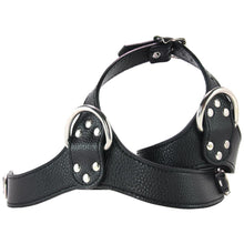 Load image into Gallery viewer, Female Chest Harness in Black - Sex Toys Vancouver Same Day Delivery
